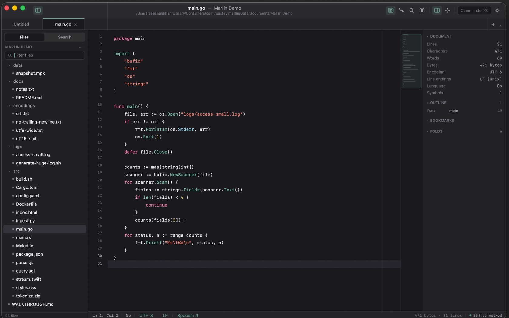 Marlin editing main.go in the Marlin Demo project